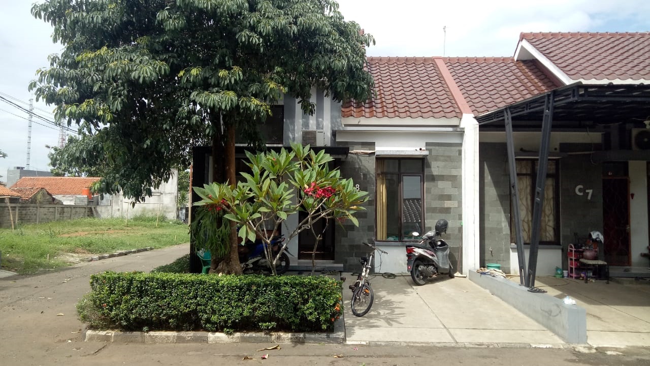 arillo real estate theme